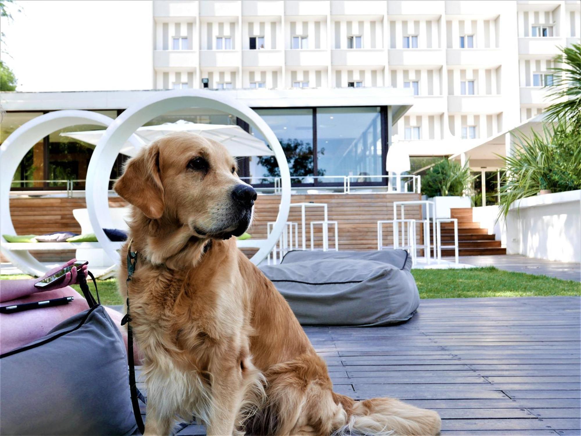 Oxygen Lifestyle Hotel Viserbella di Rimini Eksteriør bilde